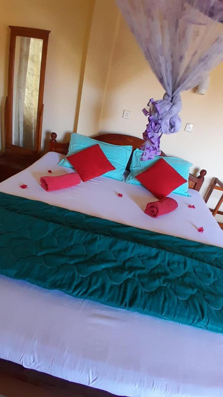New Sea Lion Guest House Хіккадува Екстер'єр фото