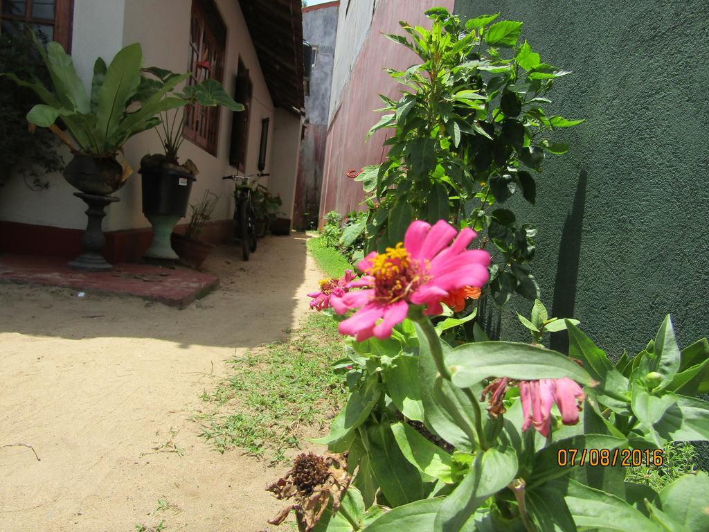 New Sea Lion Guest House Хіккадува Екстер'єр фото