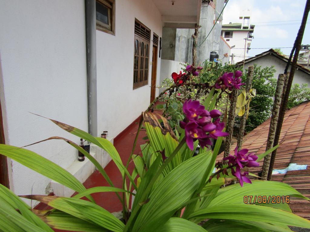 New Sea Lion Guest House Хіккадува Екстер'єр фото