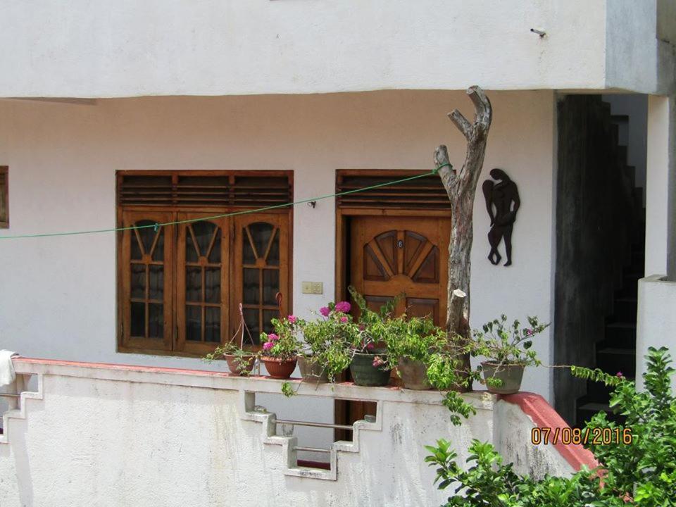 New Sea Lion Guest House Хіккадува Екстер'єр фото